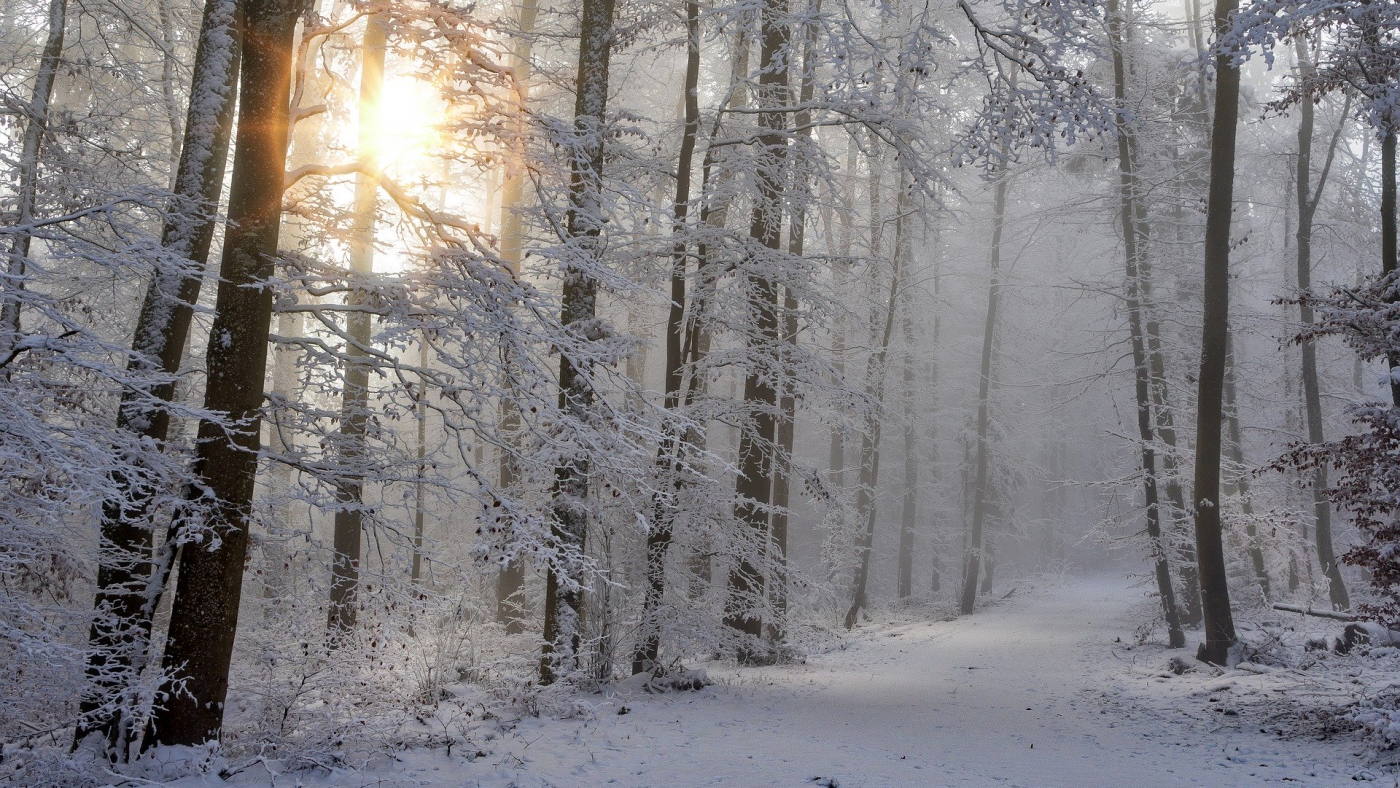 Best blinds for the winter season - Paul James Blinds