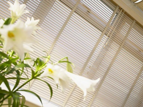 Venetian Blinds - Paul James Blinds Blinds For Windows - Paul James Blinds