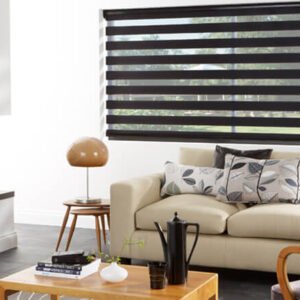 Modern Black Blinds in well lit room