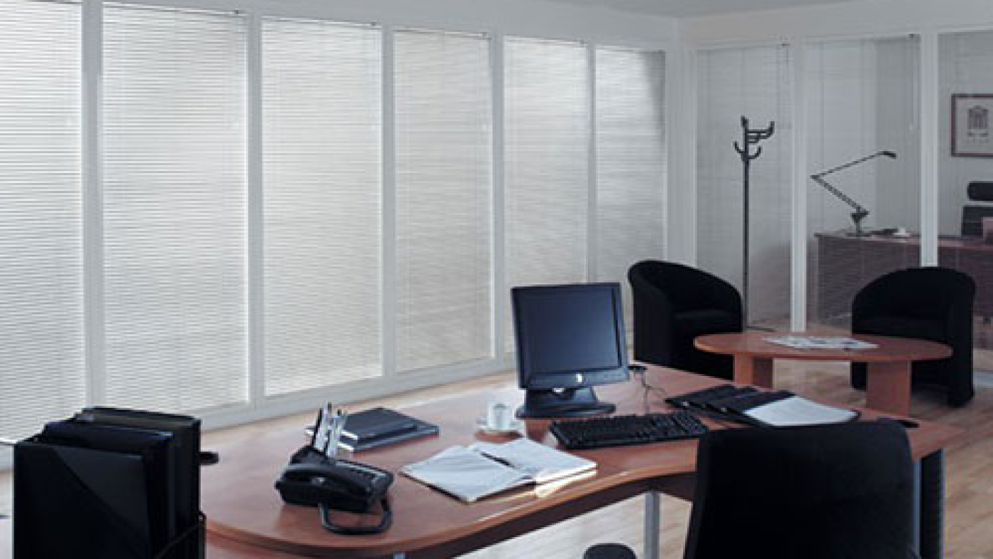 White office blinds