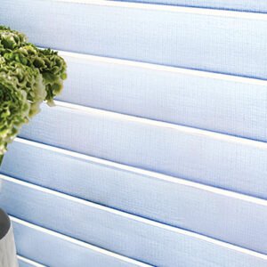 Blue Blinds with Flowers in from, within White Room